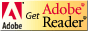 AcobatReader̃_E[hy[W